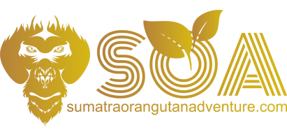 Sumatera Orangutan Adventure